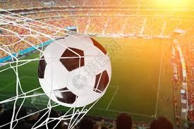 邮报：谢什科对曼联与纽卡都表达过兴趣，但他稍微倾向于红魔