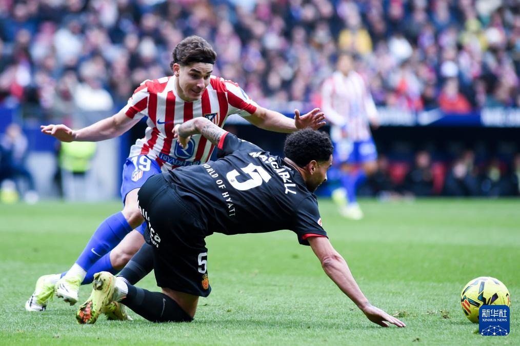 肉鸽策略游戏《灾厄之石》预告 抢先体验版1月发布